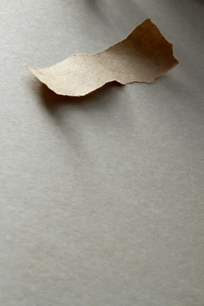 Un pedazo de papel rasgado — Foto de Stock