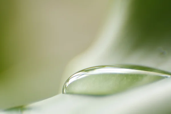 Gotas de água — Fotografia de Stock