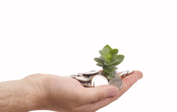 Mano con árbol que crece de la pila de monedas — Foto de Stock