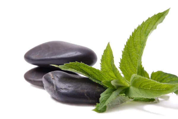 Mint leaf and Stack of stones — Stock Photo, Image