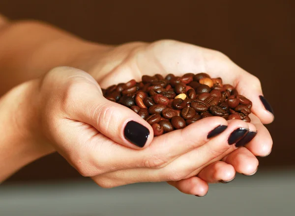 Female hands  holding coffee beans — Stock Photo, Image
