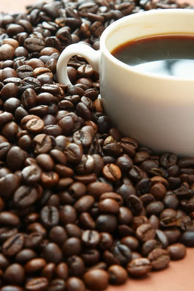 Coffee beans with white cup — Stock Photo, Image