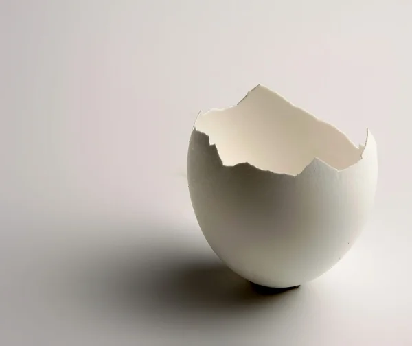 Eggshell — Stock Photo, Image