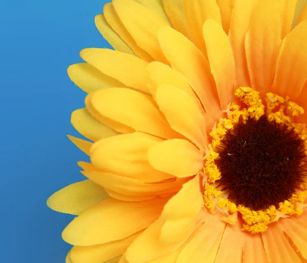 Gele gerbera — Stockfoto