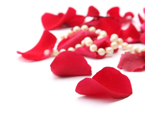 Fine pearl beads and red roses petals — Stock Photo, Image