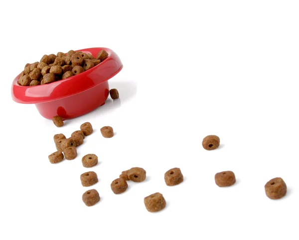 Dog food — Stock Photo, Image