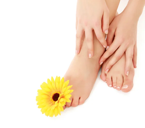 Female feet with yellow gerbera — Stock Photo, Image