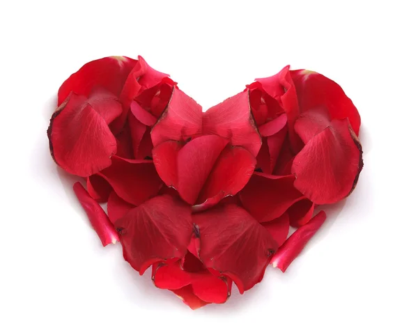 Hjärtat av kronblad röda rosor — ストック写真
