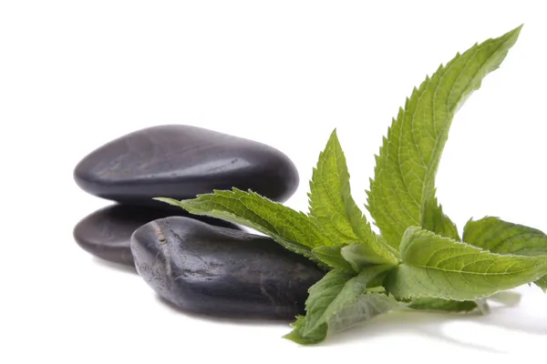 Spa stone and green leaf — Stock Photo, Image