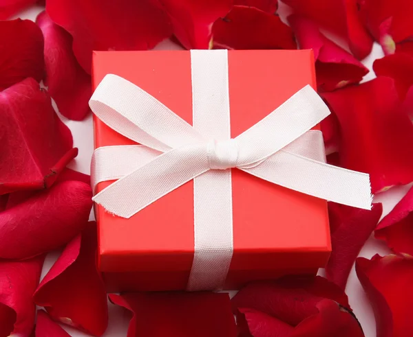 Close up of rose petals and gift — Stock Photo, Image