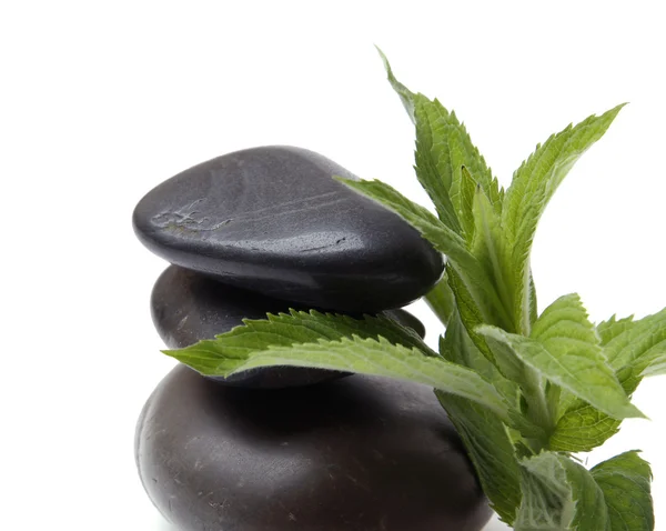 Mint leaf and Stack of stones — Stock Photo, Image