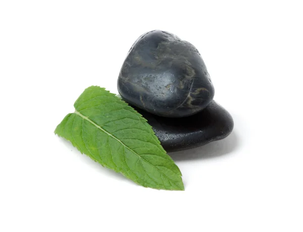 Stone and mint — Stock Photo, Image