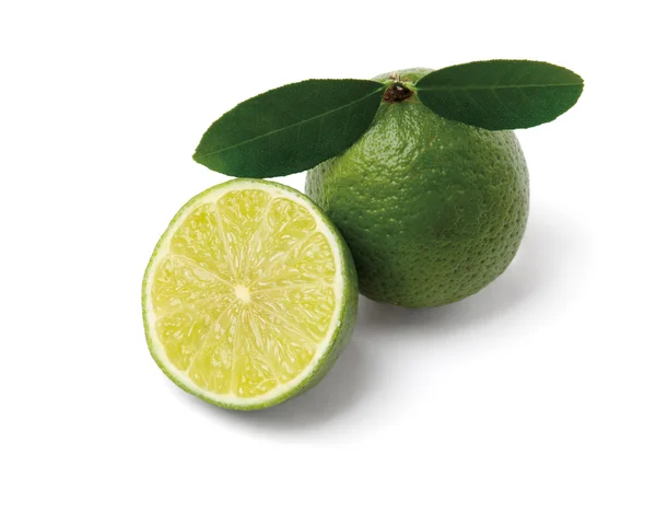 Limes isolés sur blanc — Photo