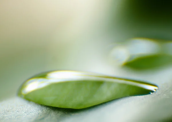 A leave with water drops — Stock Photo, Image