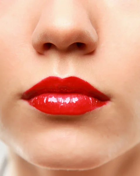 Maquillaje profesional. Brillo labial . — Foto de Stock