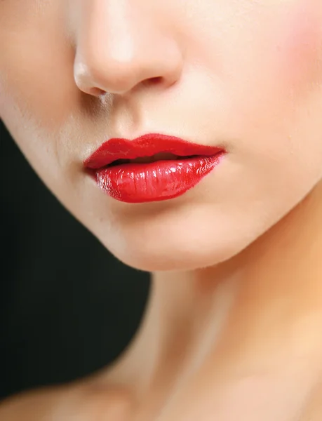 Maquillaje profesional. Brillo labial . — Foto de Stock