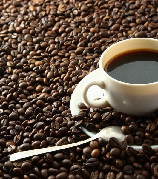 Granos de café con taza blanca . —  Fotos de Stock