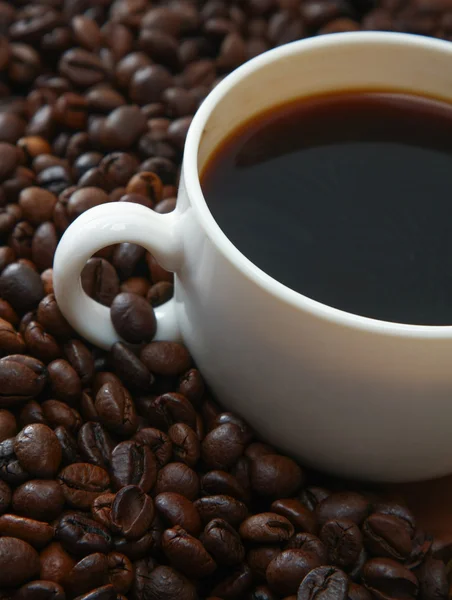 Grãos de café com copo branco . — Fotografia de Stock