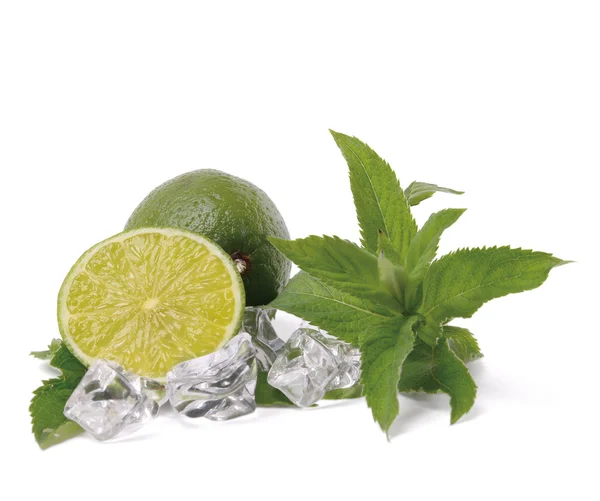 Lime, mint and ice. — Stock Photo, Image