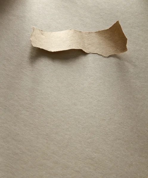 Ripped piece of paper