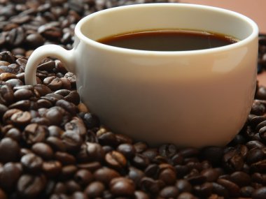 kahve çekirdekleri fincan ile