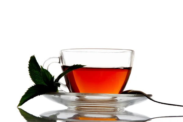 Cup of tea and mint. — Stock Photo, Image