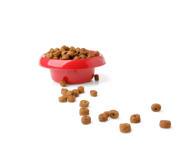 Dog food — Stock Photo, Image