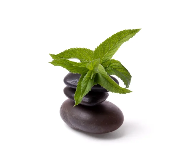 A peppermint and a stack of stones — Stock Photo, Image