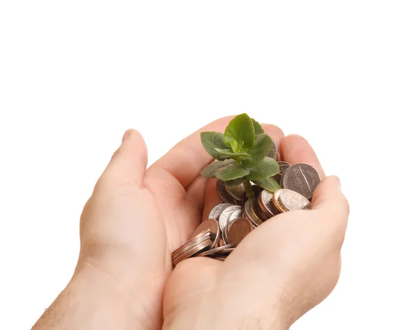 Palms with a plant growing from pile of coins. — Stock Photo, Image