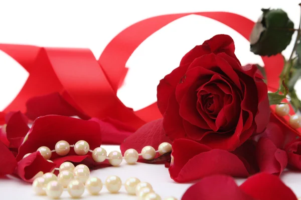 Pearl beads and red roses petals — Stock Photo, Image