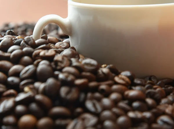 Koffie bonen met kop — Stockfoto