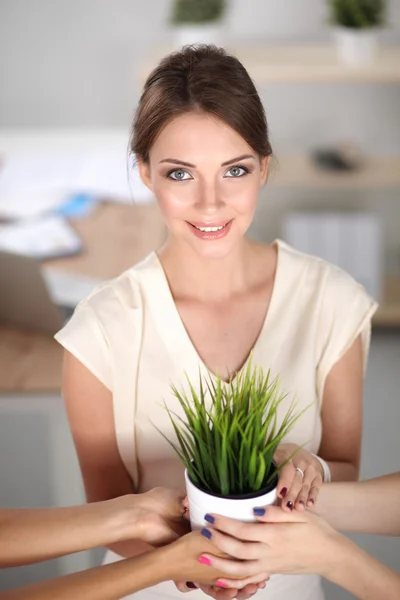 Closeup Of Businesspeople Hand Holding GrassTogether — Stock Photo, Image