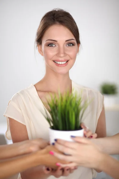 Closeup Of Businesspeople Hand Holding GrassTogether — Stock Photo, Image