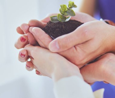 Bir grup iş adamı taze bir filizi tutuyor. Büyüyen ve yeşil ticaretin sembolü