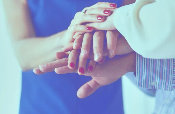 Eine Gruppe Geschäftsleute hält einen frischen jungen Spross in der Hand. Symbol für ein wachsendes und grünes Geschäft — Stockfoto