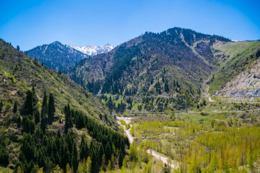 dağlar görünümü