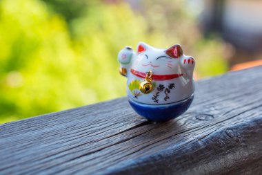 mavi renkli şanslı kedi