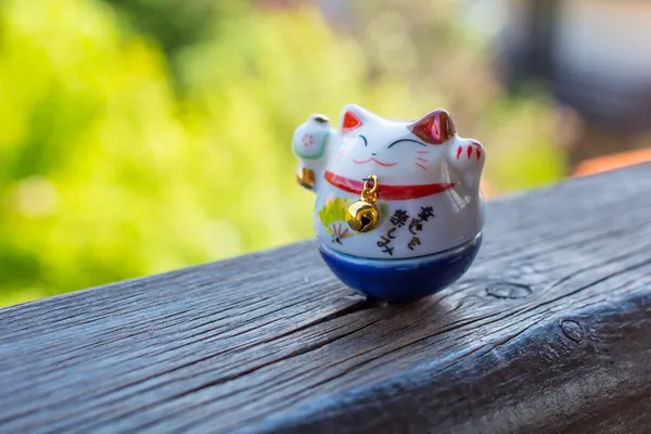 mavi renkli şanslı kedi