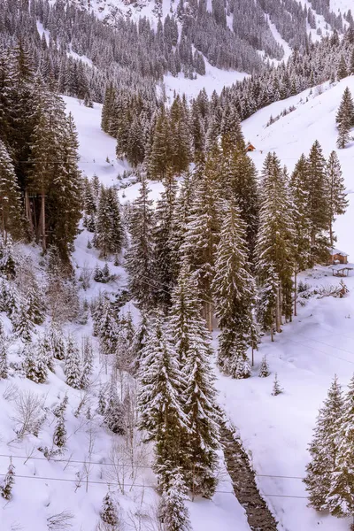 Verschneite Winterlandschaft in Österreich, Bergwald — Stockfoto