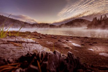 Shiroka polyana barajı, Bulgaristan, Rodop