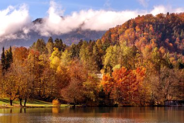 Bled Gölü ve Slovenya gün batımı sonbahar ağaçları