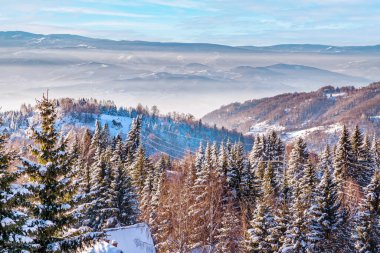 hava kışları dağ manzarası, kar ağaçları