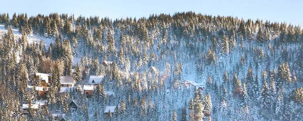 Zimowy las i domy sztandar krajobrazowy — Zdjęcie stockowe