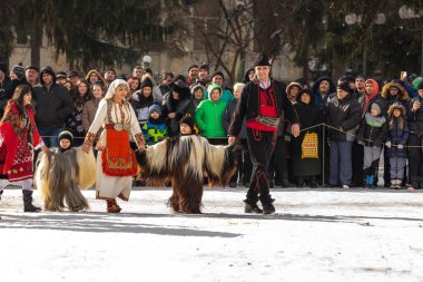 Razlık, Bulgaristan - 14 Ocak 2017: Kişi, Yetişkin ve çocuklarda geleneksel karnaval kuker kostümleri Kukeri festivalinde Starchevata giyim