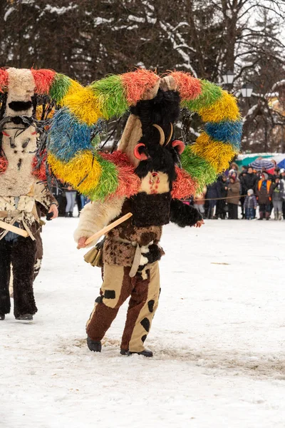 Razlog Bulgarie Janvier 2017 Des Gens Costumes Traditionnels Kuker Carnaval — Photo