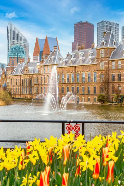 荷兰海牙Binnenhof议会和湖泊喷泉 — 图库照片