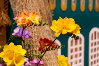 Fresh yellow, red, purple freesia flowers