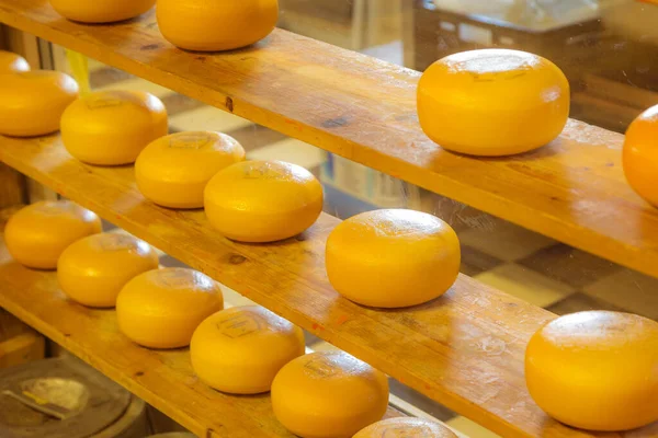 Holland cheese rounds at traditional market — Stock Fotó