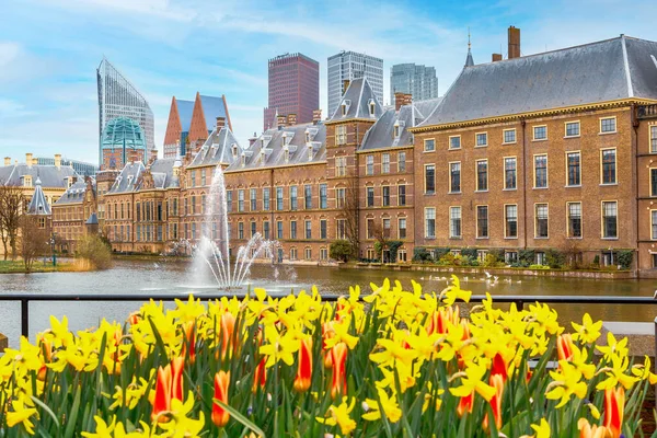 荷兰海牙Binnenhof议会和湖泊喷泉 — 图库照片