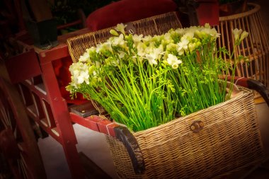 Taze beyaz frezya çiçekleri buket kompozisyonu